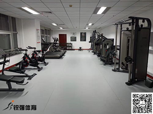 济南某集团采购的熊猫体育提供的健身器材